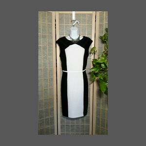 SANDRA DARREN COLOR BLOCK DRESS WASHABLE 10